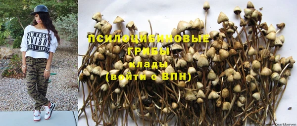 прущие грибы Алексеевка