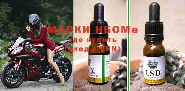 прущие грибы Алексеевка