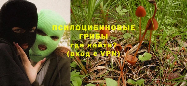 прущие грибы Алексеевка