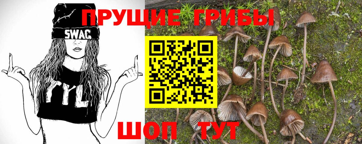 Бердск  Псилоцибиновые грибы Magic Shrooms  Вход с VPN  Галлюциногенные грибы мухоморы 